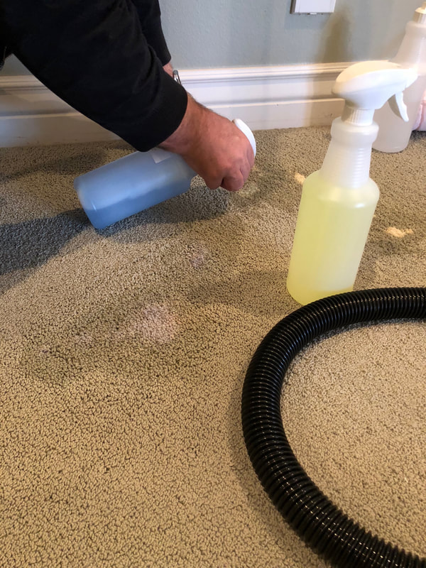 How To Get Bleach Spots Out Of Carpeting